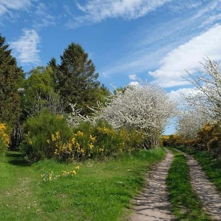 Lower Bruntlands Fochabers Buitenkant foto