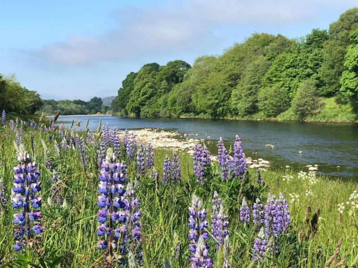 Lower Bruntlands Fochabers Buitenkant foto